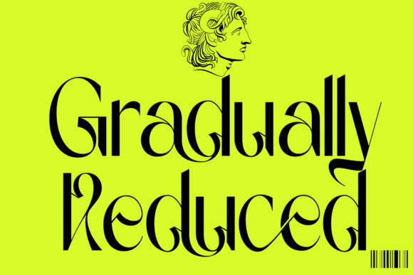 Gradually Reduced: A Professional Serif Font for Your Brand